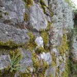 Les Vieilles Pierres de Saint Cergues 49