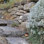 Les Vieilles Pierres de Saint Cergues 50