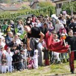Carnaval 26