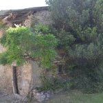 Les Vieilles Pierres de Saint Cergues 41