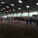 9 11 equitation