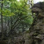 Les Vieilles Pierres de Saint Cergues 18